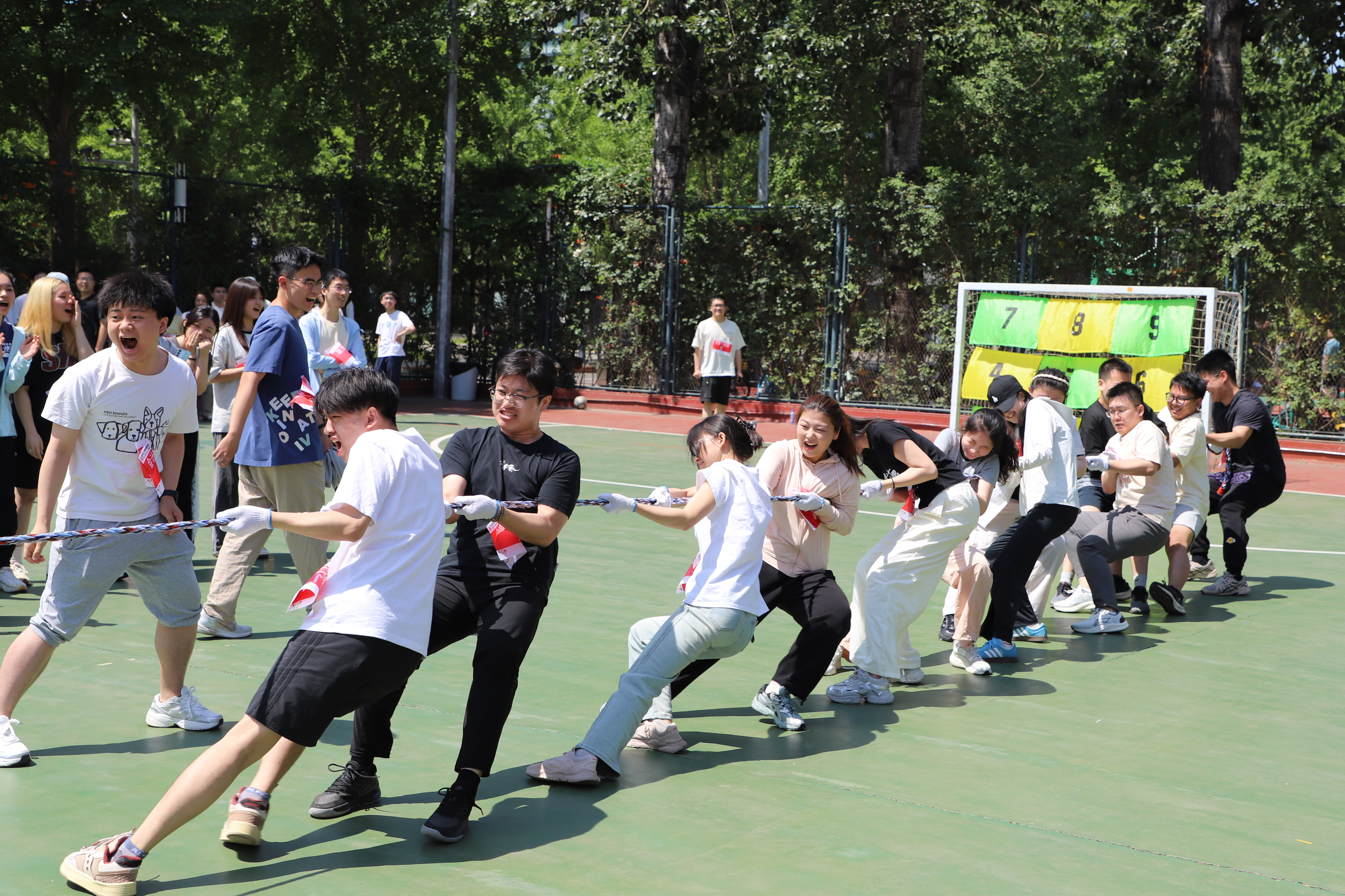 图15.JPG